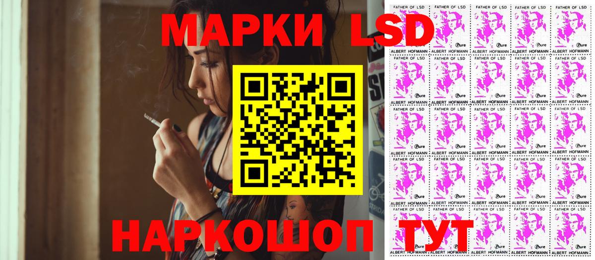 Галлюциногенные грибы Нерюнгри