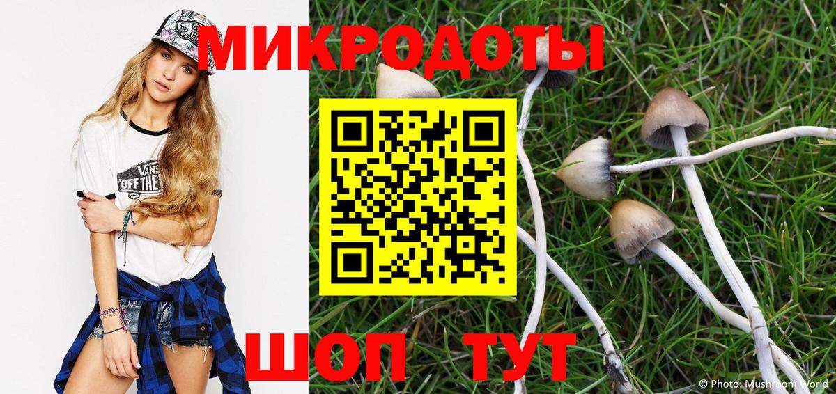 Псилоцибиновые грибы Psilocybe  Галлюциногенные грибы GOLDEN TEACHER  Нерюнгри  Вход с VPN 