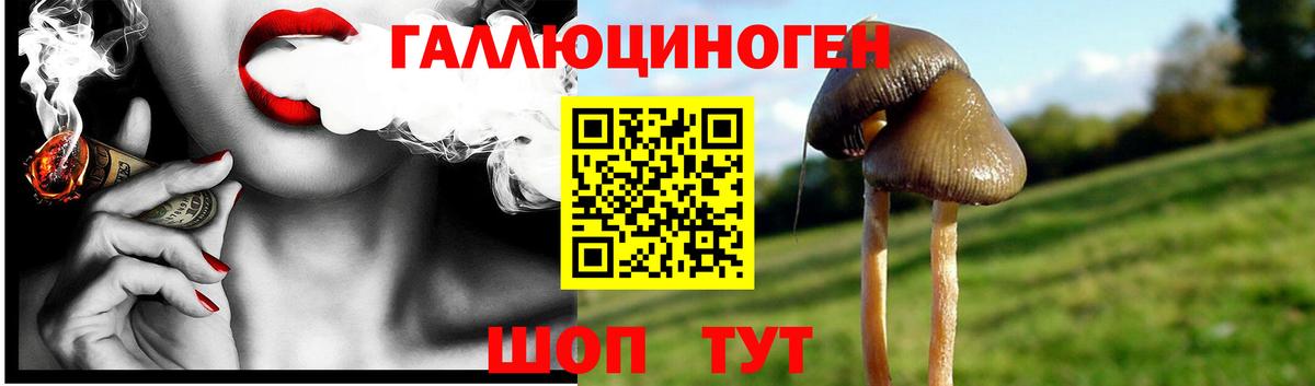 Галлюциногенные грибы ЛСД Нерюнгри